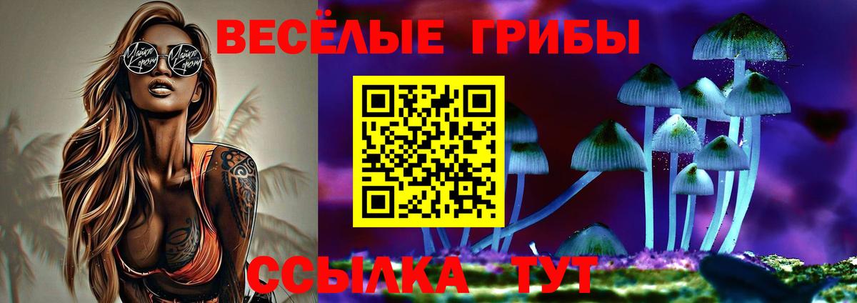 наркошоп  Псилоцибиновые грибы мицелий  Вход с VPN  Кострома 